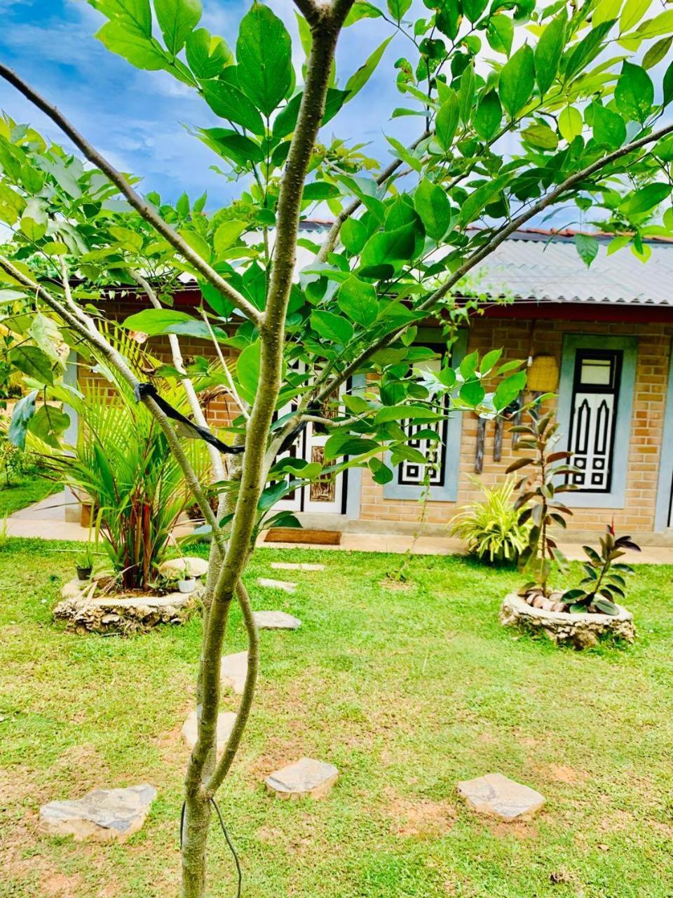 Ashok Villa Weligama Dış mekan fotoğraf