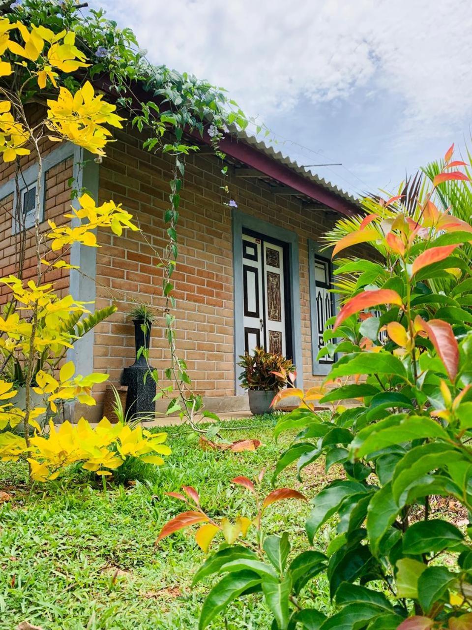 Ashok Villa Weligama Dış mekan fotoğraf