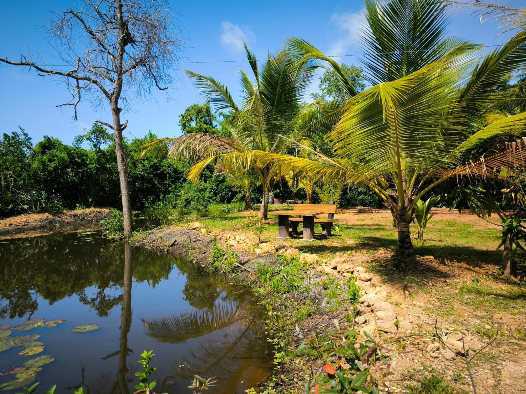 Ashok Villa Weligama Oda fotoğraf