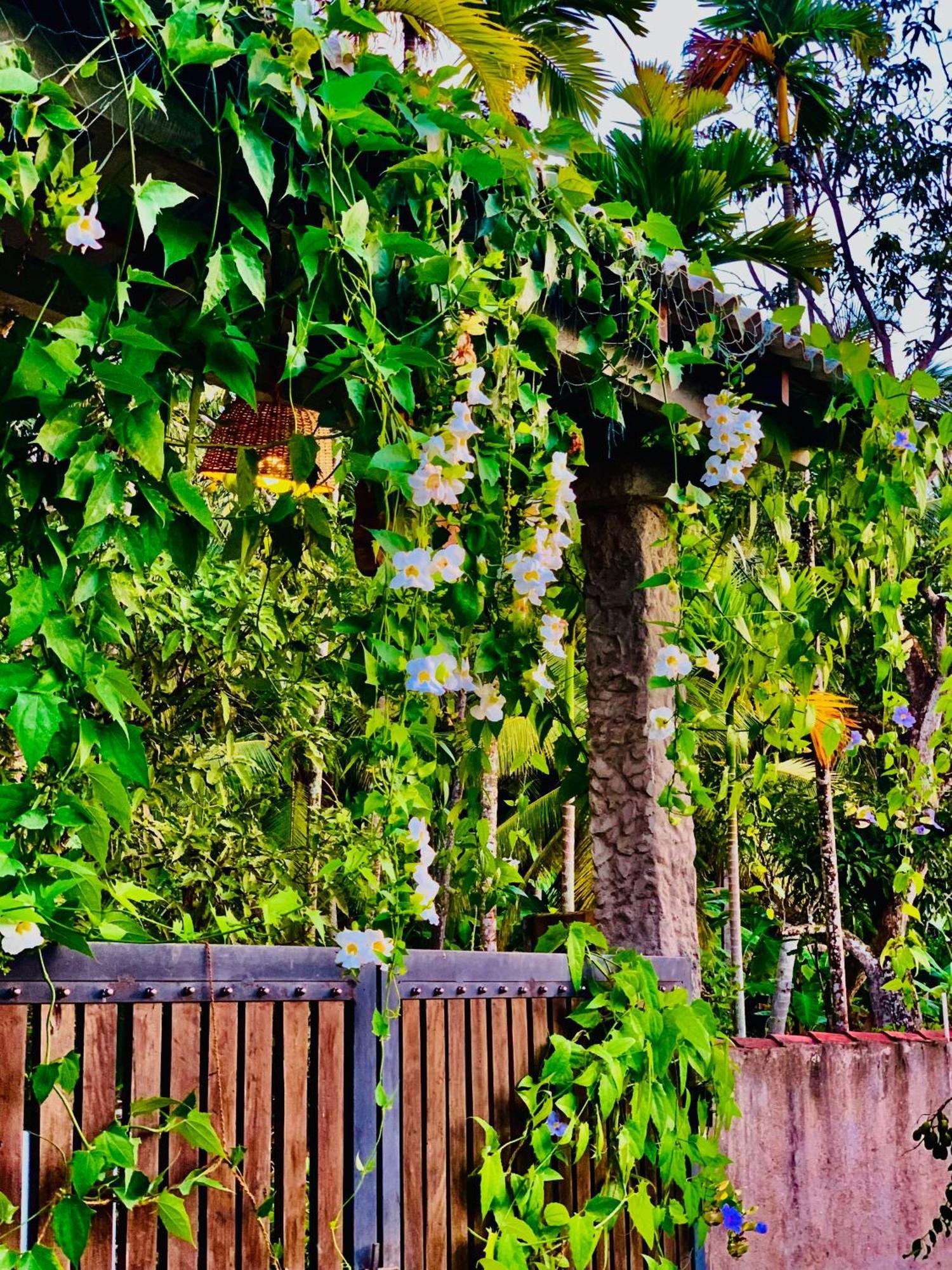 Ashok Villa Weligama Dış mekan fotoğraf
