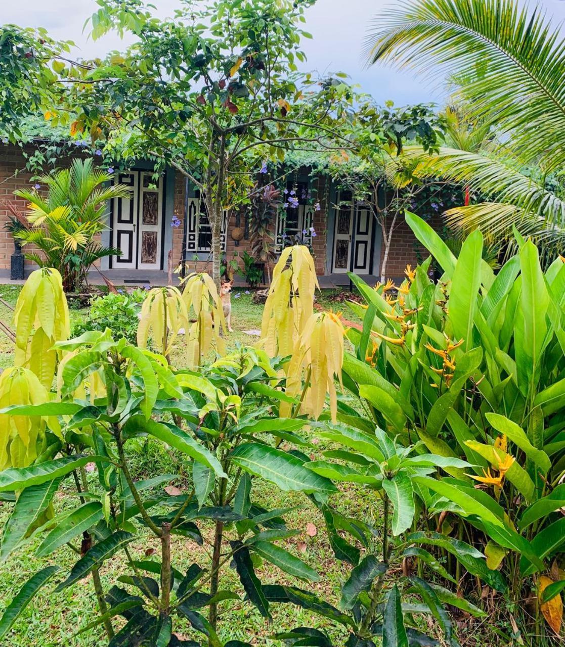 Ashok Villa Weligama Dış mekan fotoğraf
