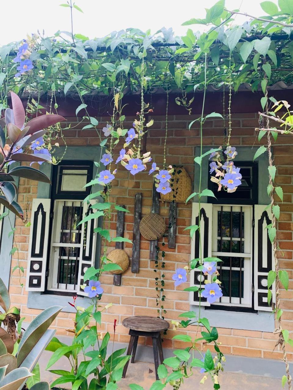 Ashok Villa Weligama Dış mekan fotoğraf